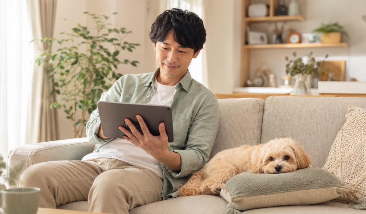 明るいリビングのソファでタブレットを見る日本人男性と傍らのクッションでくつろぐ健康な小型犬